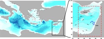 Relationship between thermohaline and biochemical patterns in the levantine upper and intermediate water masses, Southeastern Mediterranean Sea (2013–2021)